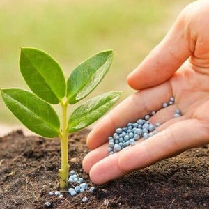 Engrais soluble de nitrate de prill de haute qualité pour l'agriculture Fournisseur en gros pour les plantes d'intérieur, les plantes succulentes et la culture hydroponique - Product Image 3