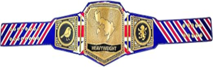 WWE Championship <b>Belt</b> Toy Gold <b>Belt</b> Wholesale Customizable Luxury Metal Medal Material Adjustable Wrestling <b>Boxing</b> <b>Belt</b> Ronpex - Product Image 4