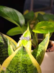 Anillo de Oro Amarillo Sólido de 14K y 18K con Diamante Cultivado en Laboratorio, Corte Corazón, Motivo de Lazo, Nudo Delicado, Joyería de Moda con Diseño Caprichoso - Product Image 3