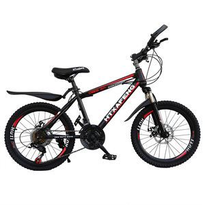 Bicicleta Económica de 20 Pulgadas con Horquilla de Acero, Luces, Bicicleta de Montaña, Ciclismo Normal, <span class=keywords><strong>Bicicletas</strong></span>, Bicicleta MTB en Oferta para Hombre - Product Image 1