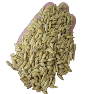 ธัญพืชอบแห้งสดที่อุดมไปด้วยไฟเบอร์ผลิตเบียร์ธัญพืชเหมาะสำหรับวัวสัตว์ปีกและโภชนาการปศุสัตว์ - Product Image 5