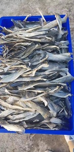 PIEL DE PESCADO BASA AL POR MAYOR RICA EN VITAMINA D - Product Image 6