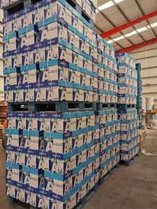 Premium White Multi-Purpose <b>A4</b> 70gsm 75gsm 80gsm Wood Pulp Copypaper <b>500</b> <b>Sheets</b> - Product Image 5