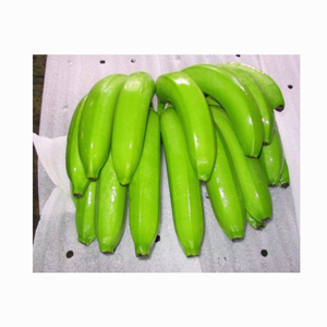 กล้วย Cavendish สด 100% - ขายส่งกล้วย cavendish / กล้วย bocadillo ส่งออกทั่วโลกตั้งแต่ 99GD - Product Image 2