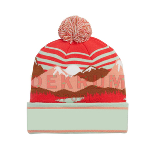 2026 Best Selling Unisex High Quality Winter Wear Cotton/Wool Adjustable Beanie Hats Outdoor Casual Use Image Style Common - Product Image 1