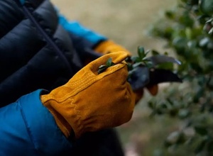 Gants antidérapants légers durables résistants à la perforation pour jardin en cuir pour enfants - Product Image 2