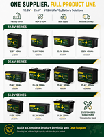 Batterie LiFePO4 51,2 V 50 Ah 2560 Wh, batterie lithium 48 V à décharge profonde pour camping-car, énergie solaire hors réseau, stockage d'énergie
