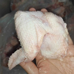 Alas de Pollo Halal Congeladas Baratas y de la Mejor Calidad, Sin Piel y Sin Hueso, en Venta - Product Image 1
