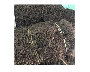 พุดดิ้งเยลลี่หญ้าแห้งแบบอร่อยใบวุ้นหญ้าแห้งสีดำสำหรับ milktea-ใบวุ้นหญ้าดำจากเวียดนาม - Product Image 2