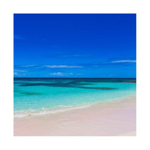 Compra Beech Long para proyectos de mejora del hogar disponibles en grandes cantidades a excelentes precios Beech Long es ideal para crear - Product Image 3