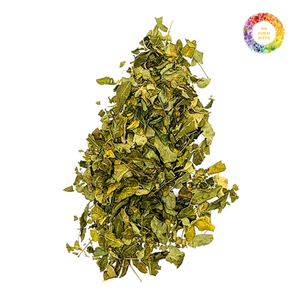 ใบมะรุมแห้งคุณภาพสูงชาหลวมสมุนไพรใบมะรุมแห้งจำนวนมากผงใบมะรุมแห้งแบบพรีเมี่ยม - Product Image 5