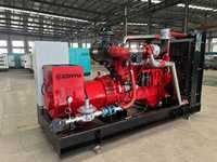 200kW 250kVA 95% Effizienz Biogas-Generator für Landwirtschaftliche Stromversorgung, Wasserkühlung, Fernstart-Steuerung, IP23-Schutz, Mehrfachspannung