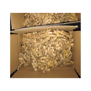 Jengibre tierno fresco con cuerpo aromático de textura jugosa de piel dorada y mordida audaz adecuada para múltiples usos culinarios - Product Image 1