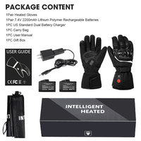 Gants en cuir chauffants électriques rechargeables du Sauveur pour la course de vélo pour la moto d'hiver Dropshipping Welcome