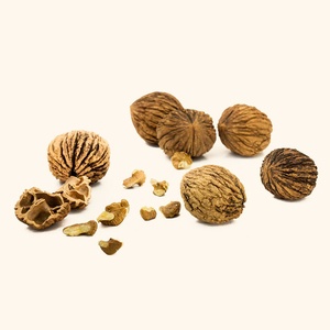 Noix séchées nutritives de qualité supérieure disponibles en vrac emballées pour un arôme frais offrant des noix de texture croquante - Product Image 4