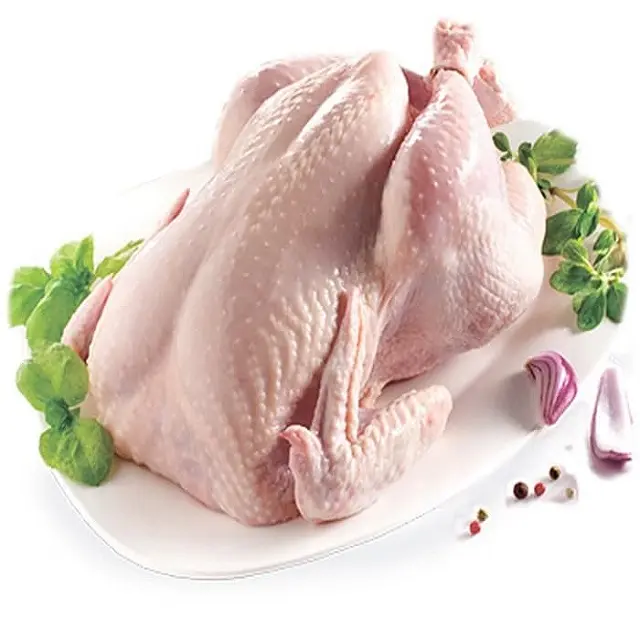 Высококачественная халяльная цельная замороженная Курица Халяль замороженная цельная курица лучший тариф замороженная цельная курица