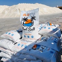 Traitement de l'eau de piscine, chlorure de sodium (NaCl), qualité industrielle, adoucissement de l'eau, pureté de 99,9 %, certifié ISO 9001 HACCP, poudre blanche