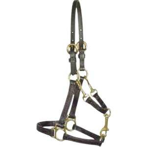 Licol de cheval classique équestre écologique Vente en gros de haute qualité en cuir Durable et personnalisable - Product Image 1