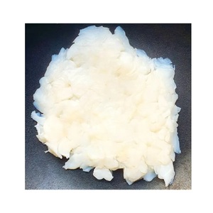 Meilleur prix sain 6x6x15mm gelée de noix de coco brute Nata De Coco forme de bâton comprimé rapport 1:10 pour thé à bulles emballé dans des boîtes - Product Image 5