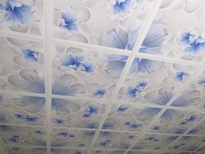 Plaques de plafond décoratives pour l'intérieur, surface laminée à film brillant, motifs artistiques - Product Image 5