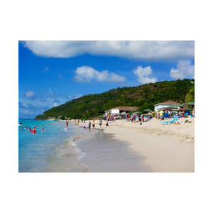 Bûches en bois de hêtre de haute qualité pour le travail du bois disponibles en vrac à un prix avantageux - Product Image 5