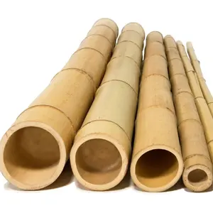 Hot Selling Natural Bamboo Poles / Canes / Stakes For Export In Bulk Manufacturer From Vietnam