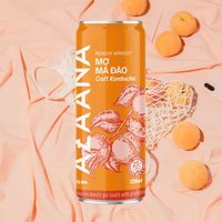 Kombucha Perzik Thee Concentraat Gemengd Vruchtensap Met Natuurlijke Zoetzure Smaak