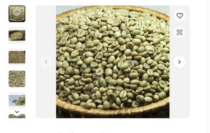 Commercio all'ingrosso brasiliano di alta qualità chicchi di caffè verde con il miglior prezzo per l'importazione di buona qualità chicchi di caffè crudo - Product Image 5