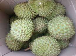 Durian surgelé RI6 Vietnam Prix attractif pour le durian surgelé de qualité supérieure avec noyau ANGLE - Product Image 4