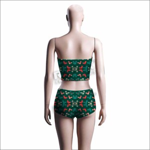 Conjunto de bikini de calidad superior para mujer, conjunto de bikini con estampado personalizado para mujer, conjunto de Bikini transpirable para mujer - Product Image 4