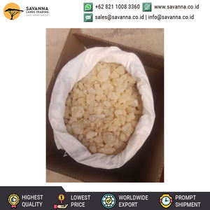 Prix de marché abordable élevé sur demande 100% Qualité authentique Agent de glaçage de qualité supérieure Utilisation de la résine de gomme Dammar d'Indonésie - Product Image 5