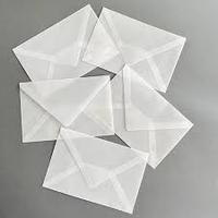 Enveloppes portefeuilles en vélin translucide, modernes, transparentes, personnalisables pour les invitations de mariage et la papeterie de luxe