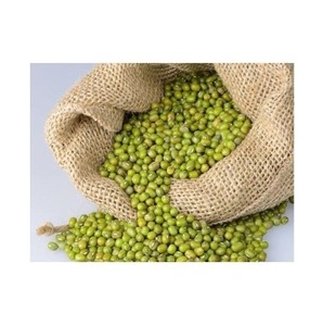 Fourniture directe Moong Dal 3.8mm grande taille haricots Vigna Mung Dal germination haricots mungo verts en vrac stock frais disponible pour les exportations - Product Image 1