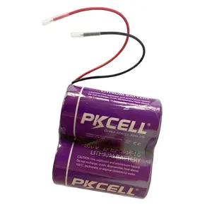 LiSOCl2 batteria 3.6V 19000mAh D batteria er34615 batteria Li socl2 tipo bobina