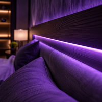 Bande lumineuse LED intelligente - Couleurs magiques de rêve RGB pour salle de jeu et home cinéma, adressable DMX512 IP68