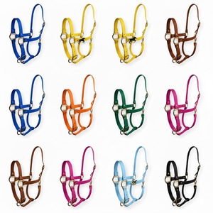 Cabestro de Cuero para Silla Inglesa, Ajustable, Color y Tamaño Personalizables, para Todas las Estaciones - Product Image 2