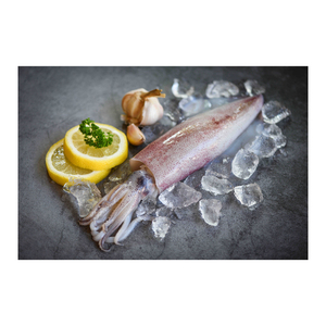 Calmar congelé frais en vrac prêt pour l'expédition mondiale et l'approvisionnement commercial - Product Image 4