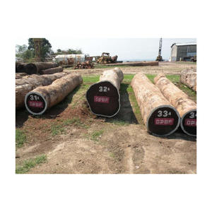 Bûches de wengé fournies en stock pour les commandes en grande quantité - Product Image 5