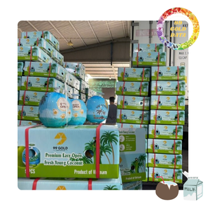 Coco fresco con tapa y pajita de fácil apertura | Suministro a granel a buen precio | Adecuado para supermercados y resorts al por mayor - Product Image 1