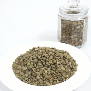 เมล็ดกาแฟอาราบิก้าสีเขียวที่มาจากเวียดนามไฮแลนด์ที่มีคุณภาพออร์แกนิกและรสชาติเรียบเนียนสะอาดเหมาะสำหรับการขายส่ง - Product Image 3