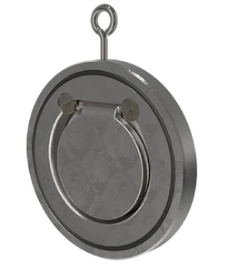 Válvula de Retención de Tipo Wafer Compacta de Hierro SG de 4 Pulgadas, Manual Integral SGI, Orientación de Asiento del Cuerpo PN-1.6, OEM de Alta Calidad, PTFE EPDM - Product Image 4