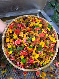 FRUITS SÉCHÉS MOELLEUX À HAUTE CAPACITÉ NUTRITIVE FRUITS SÉCHÉS NATURELS MOELLEUX MEILLEURE COLLATION DU VIETNAM LOTUS BLEU - Product Image 4