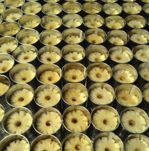 Tranches d'ananas en conserve tropicales du Vietnam, base de jus naturelle, excellente pour la pizza, le gâteau, la crème glacée et les services alimentaires - Product Image 1