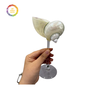 Tazón para Servir Postres con Forma de Concha Marina para Helado, Pudín, Yogur - Hermosa Vajilla Decorativa, Stock Listo para Exportación - Product Image 3