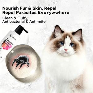Gel Doccia per Gatti con Acido Minoico ODM OEM, Shampoo per Animali Domestici, Liquido Speciale per il Bagno <span class=keywords><strong>di</strong></span> Tutti i Gatti - Product Image 4