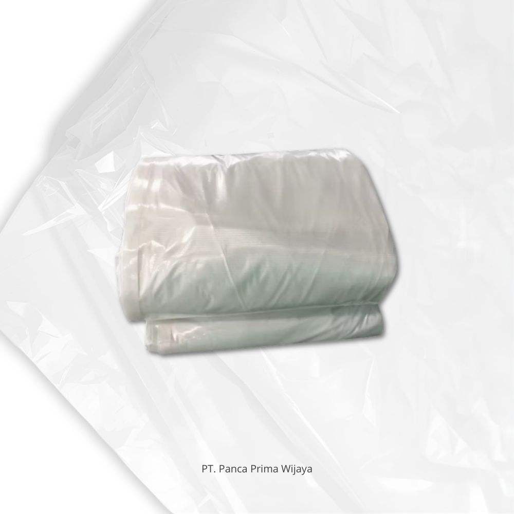 โปร่งใส