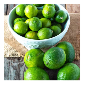 Lima congelada de Vietnam cosechada en el pico de la madurez, congelada rápidamente para frescura, ideal para cócteles, salsas culinarias y condimentos - Product Image 5