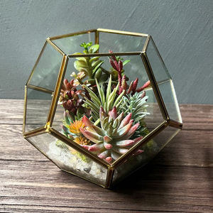 Terrario de cristal artístico moderno hecho a mano Simple y elegante superventas, Terrario de cristal geométrico Artificial suculento acabado en oro, precios baratos - Product Image 1