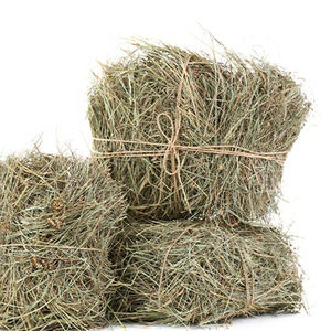 ก้อนหญ้าแห้งสำหรับลูกวัวปลาสุนัขหมูม้าอาหารสัตว์จากปากีสถาน - Product Image 2