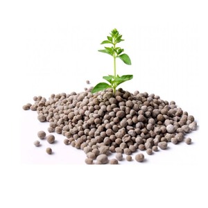 Superphosphate (14) et double-phosphate sous forme de poudre disponible à bas prix Engrais phosphate TSP et SSP de haute qualité - Product Image 4